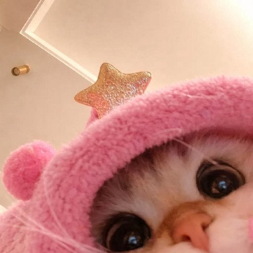 @mgraze